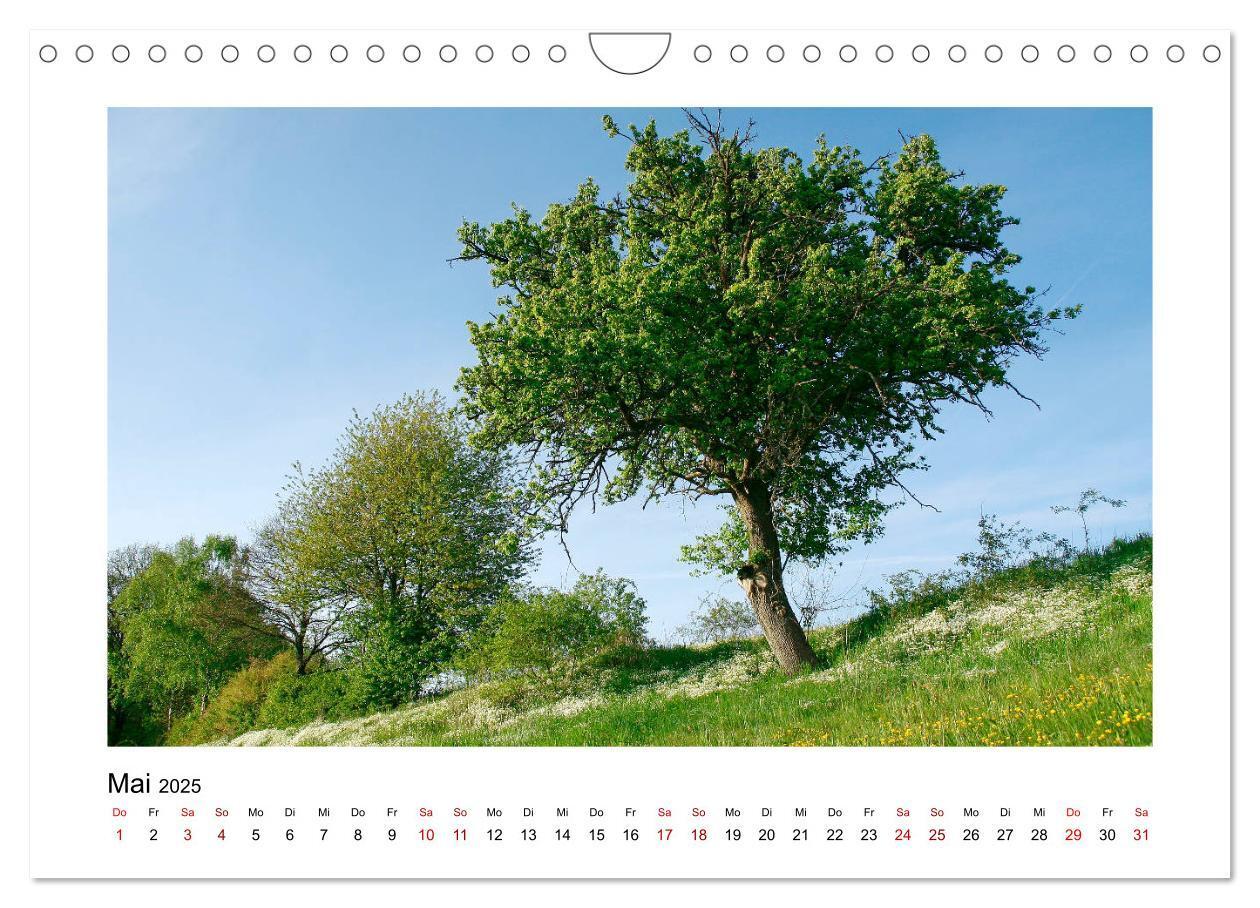 Bild: 9783435405565 | Zauberhafte Landschaften im Odenwald (Wandkalender 2025 DIN A4...