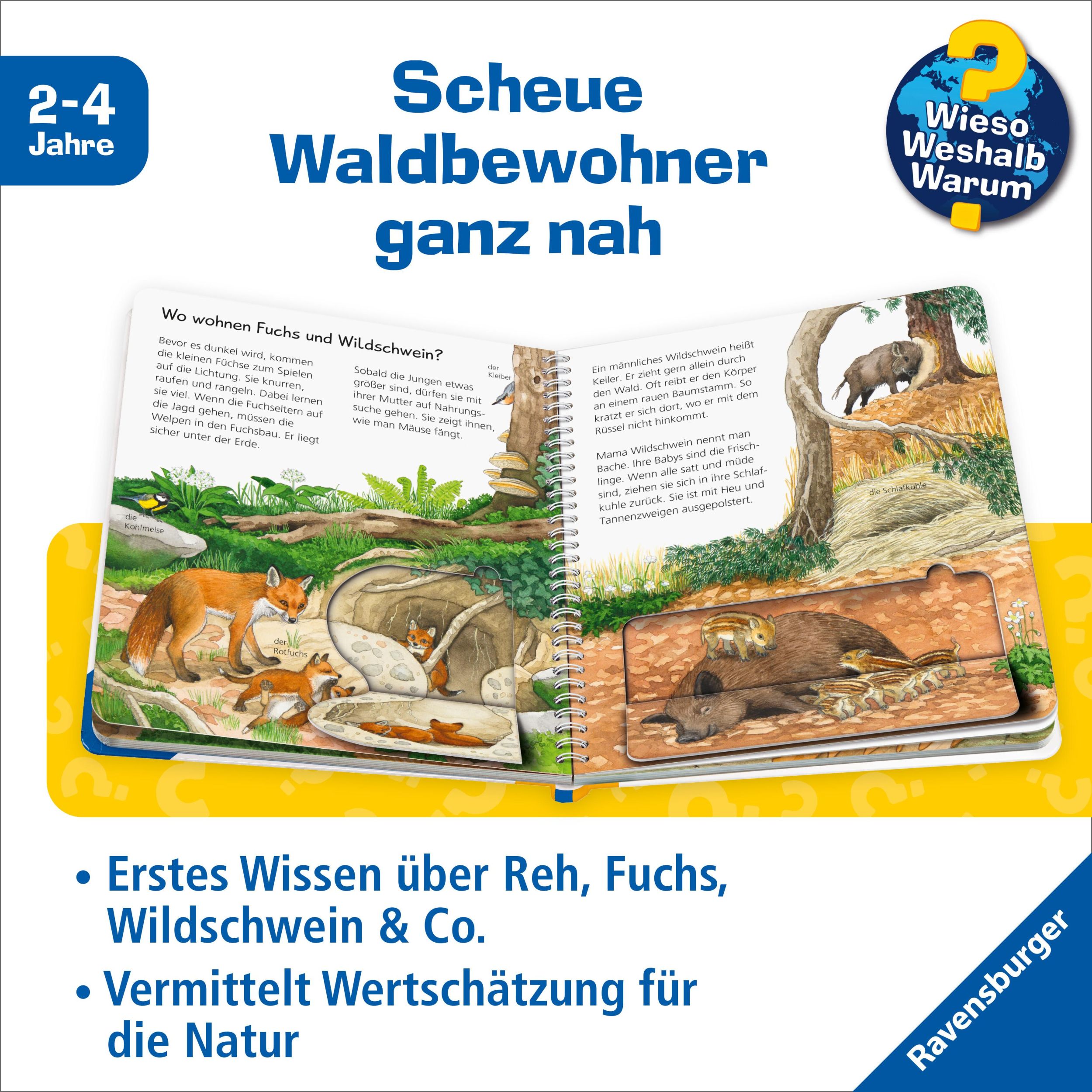 Bild: 9783473600793 | Wieso? Weshalb? Warum? junior, Band 77: Tiere im Wald | Mennen | Buch