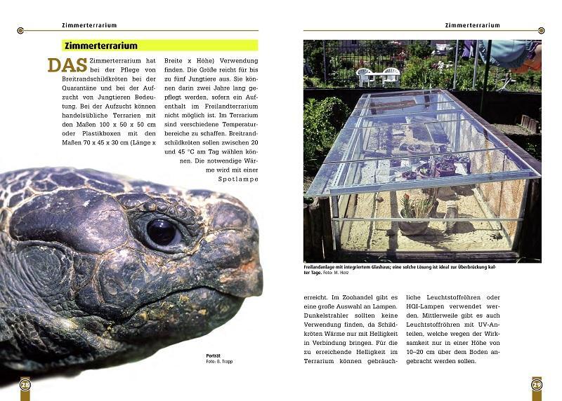 Bild: 9783937285948 | Die Breitrandschildkröte | Mario Herz | Taschenbuch | Art für Art