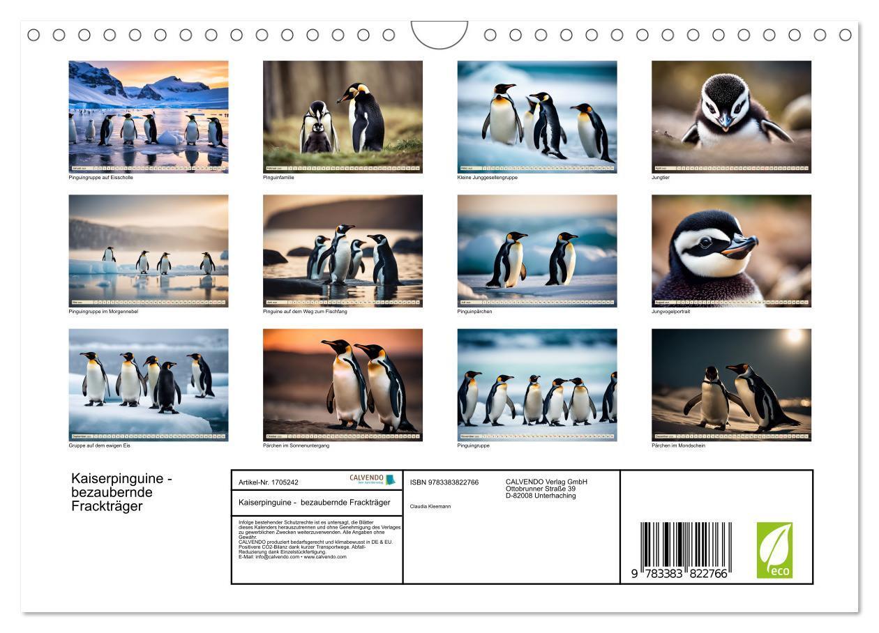 Bild: 9783383822766 | Kaiserpinguine - bezaubernde Frackträger (Wandkalender 2025 DIN A4...