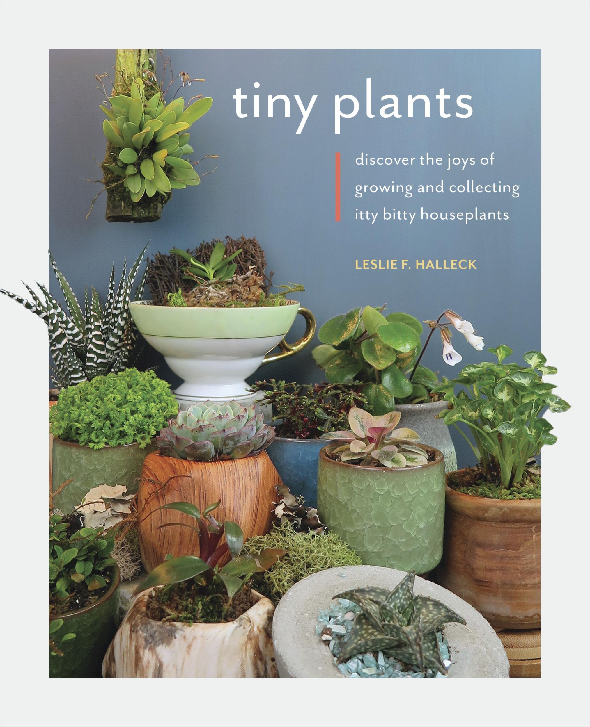 Cover: 9780760369579 | Tiny Plants | Leslie F Halleck | Taschenbuch | Kartoniert / Broschiert