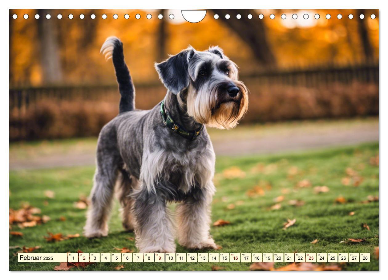 Bild: 9783457016145 | Schnauzer - vielseitige Allrounder (Wandkalender 2025 DIN A4 quer),...