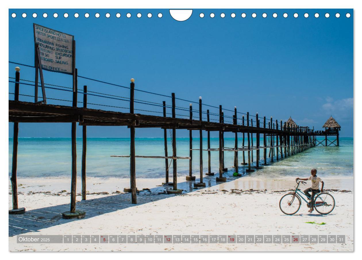 Bild: 9783383934124 | Biken - Impressionen von Rolf Dietz (Wandkalender 2025 DIN A4...