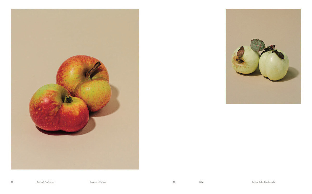 Bild: 9783775751155 | Odd Apples | (Special Edition) | A.A. Trabucco-Campos (u. a.) | Buch