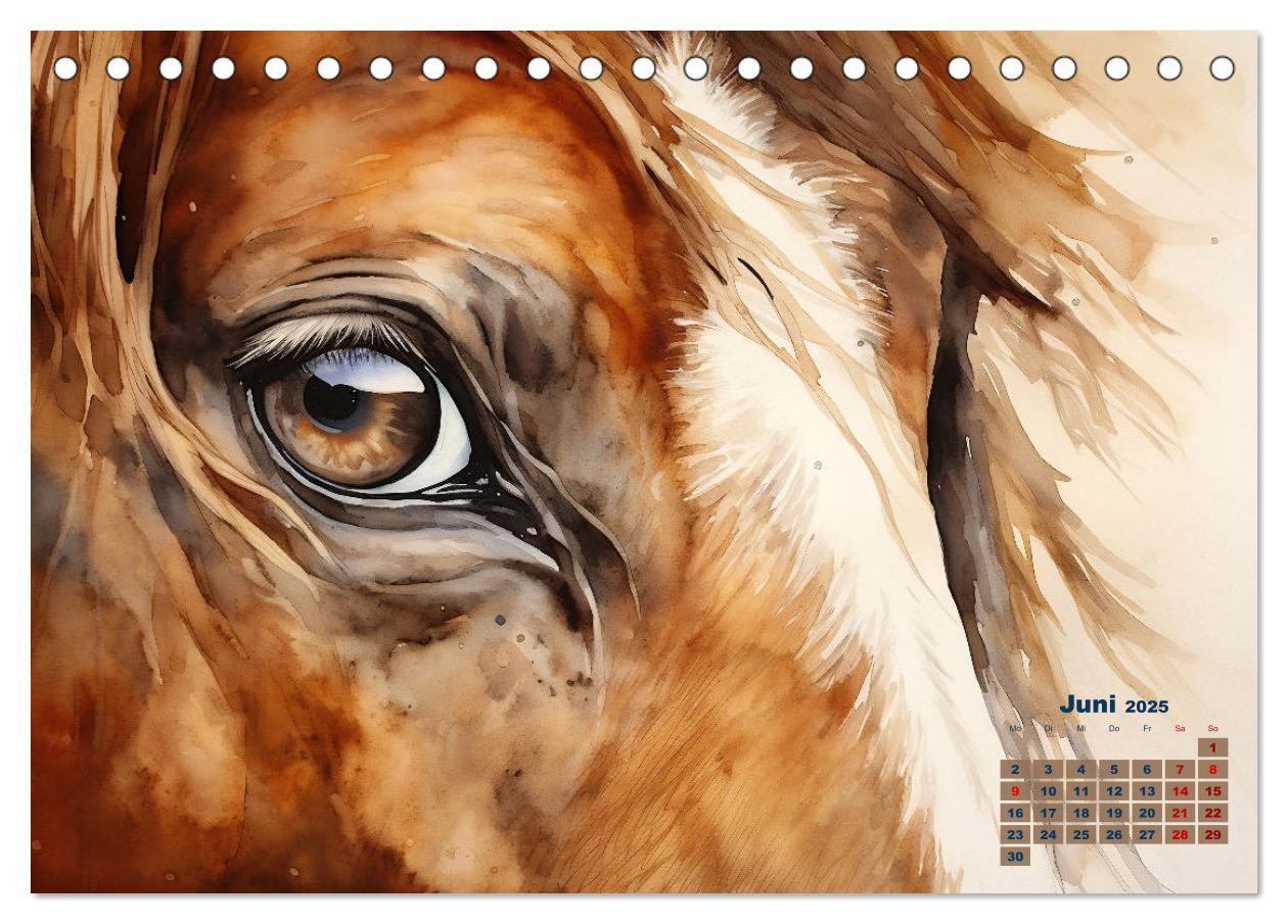 Bild: 9783435012961 | Kraftpakete in Aquarell (Tischkalender 2025 DIN A5 quer), CALVENDO...