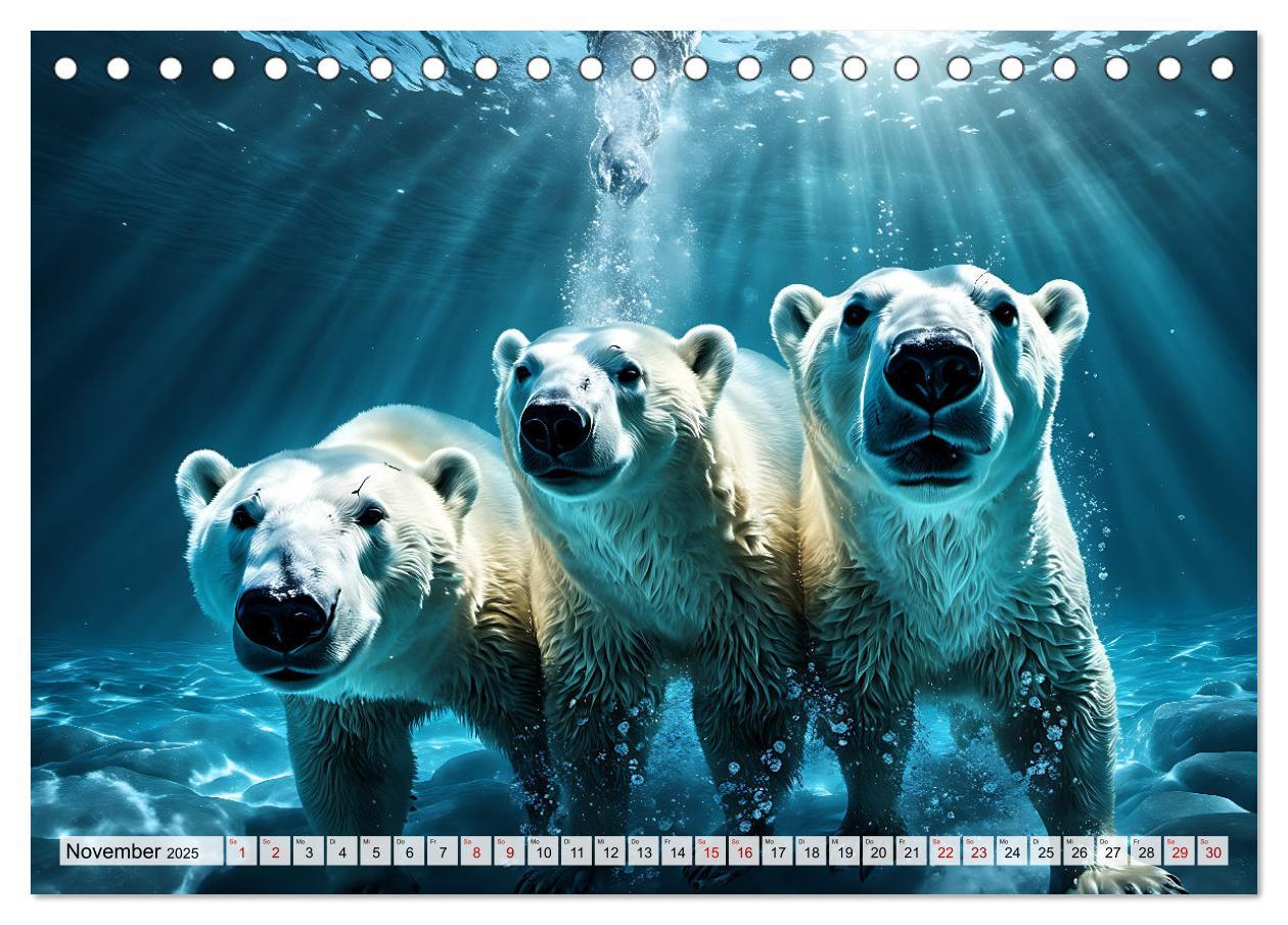 Bild: 9783383859762 | Im magischen Land der Eisbären (Tischkalender 2025 DIN A5 quer),...