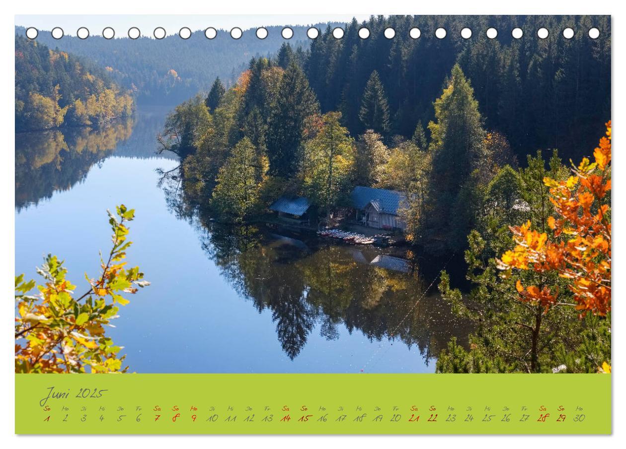 Bild: 9783435192946 | Der Bayerische Wald (Tischkalender 2025 DIN A5 quer), CALVENDO...