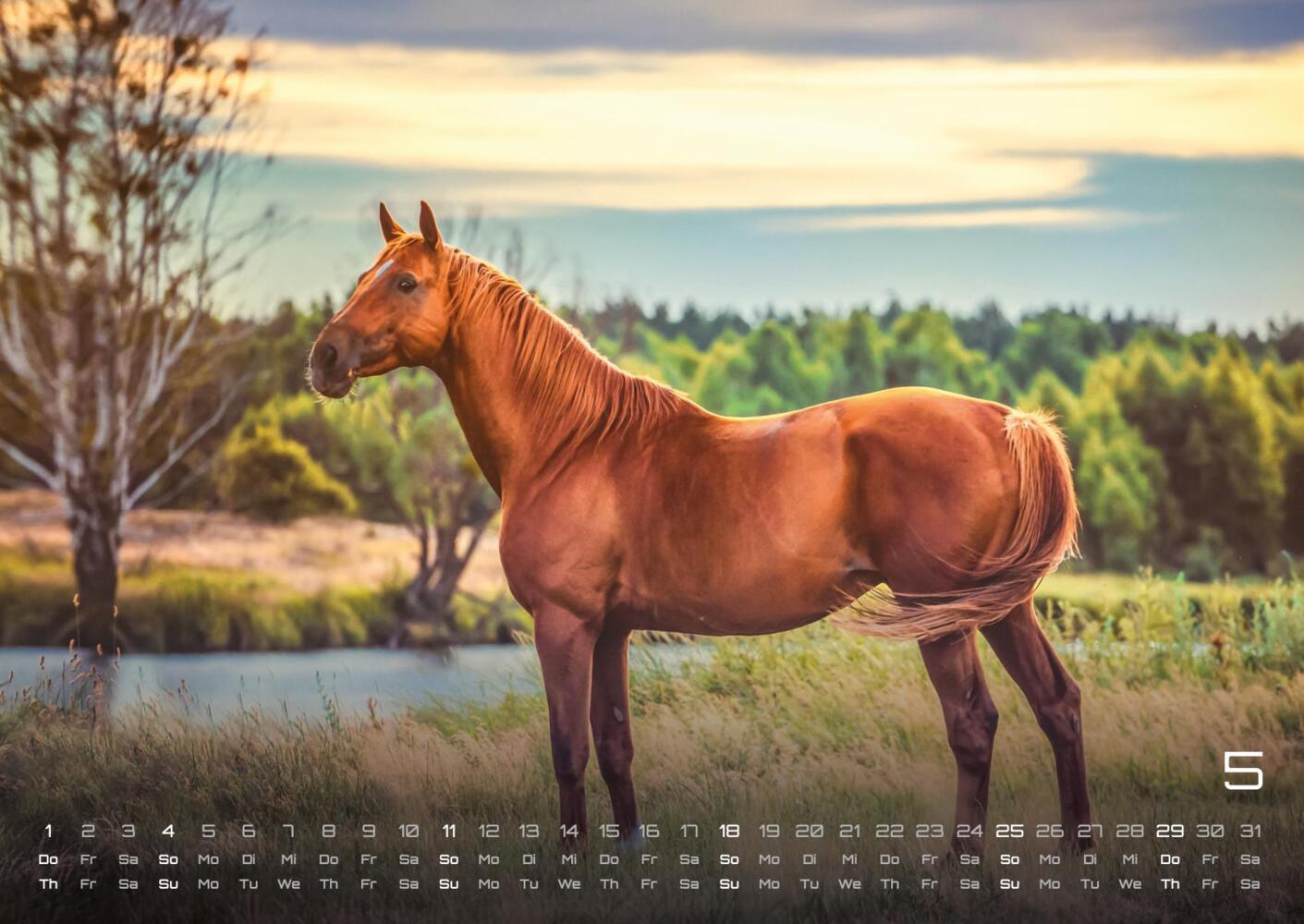 Bild: 9783986734046 | Pferdegeflüster - Der Pferdekalender - 2025 - Kalender DIN A2 | 15 S.