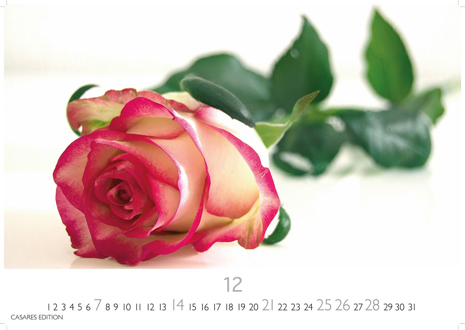 Bild: 9781835242162 | Flower Fantasy 2025 L 35x50cm | Kalender | 14 S. | Deutsch | 2025