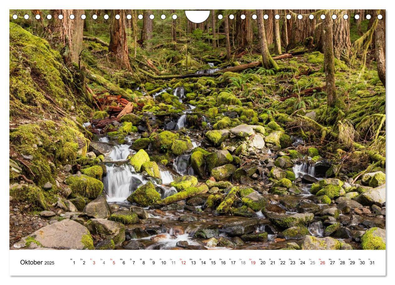 Bild: 9783435614882 | The Olympic National Park - Washington USA (Wandkalender 2025 DIN...