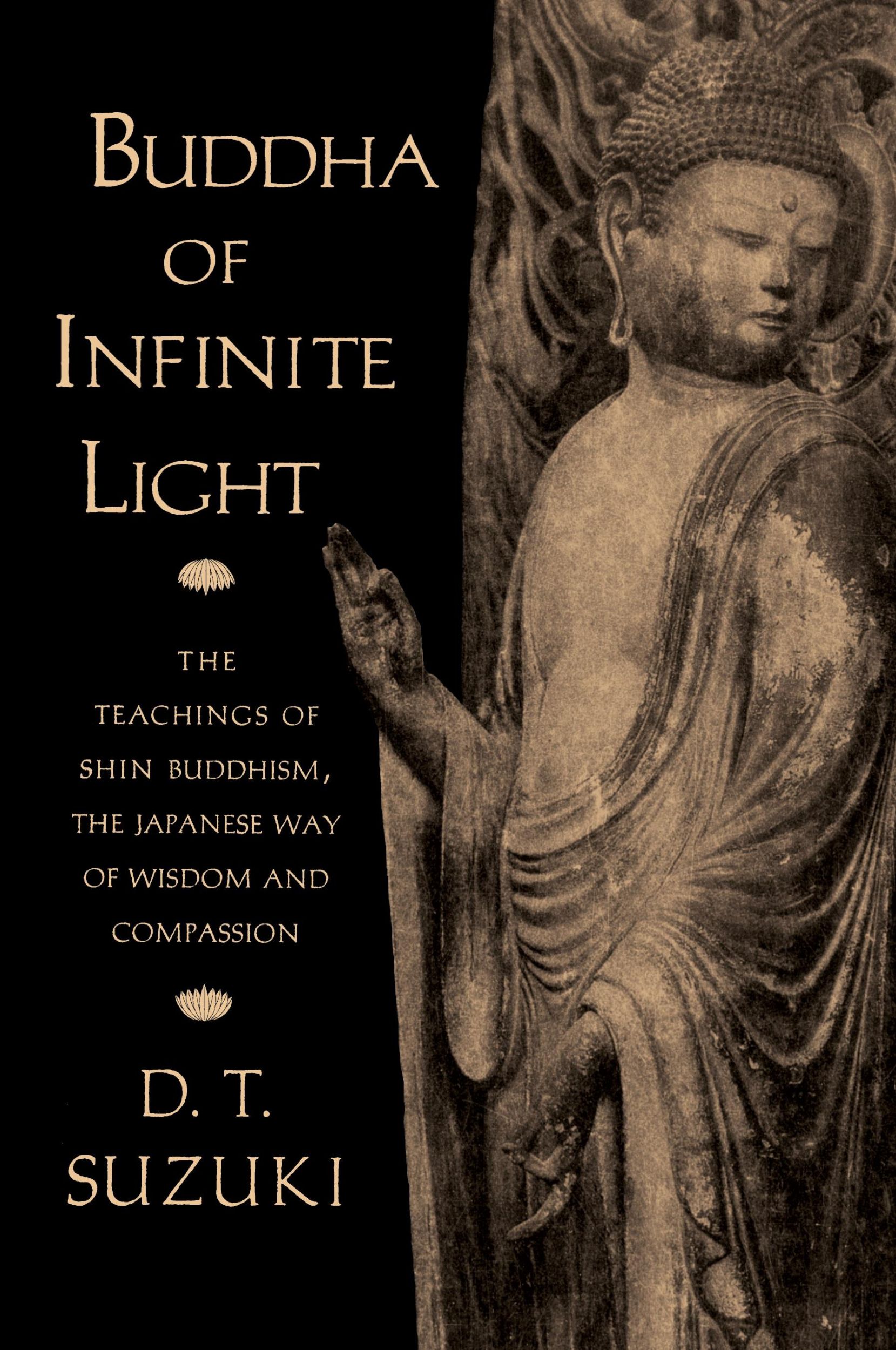 Cover: 9781570624568 | Buddha of Infinite Light | D. T. Suzuki | Taschenbuch | Englisch