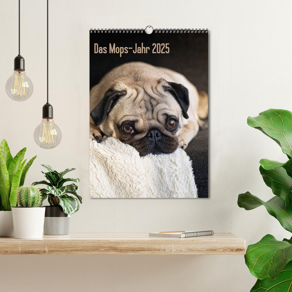 Bild: 9783457085103 | Das Mops-Jahr 2025 (Wandkalender 2025 DIN A3 hoch), CALVENDO...