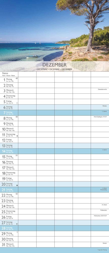 Bild: 4251732341428 | Alpha Edition - Traumziele 2025 Familienplaner, 19,5x45cm,...