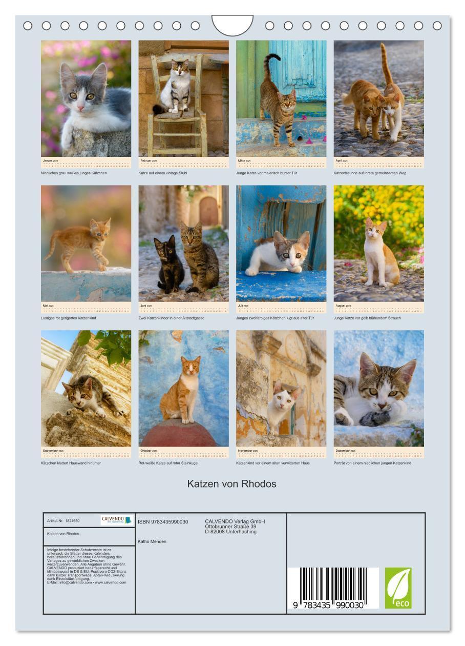 Bild: 9783435990030 | Katzen von Rhodos (Wandkalender 2025 DIN A4 hoch), CALVENDO...