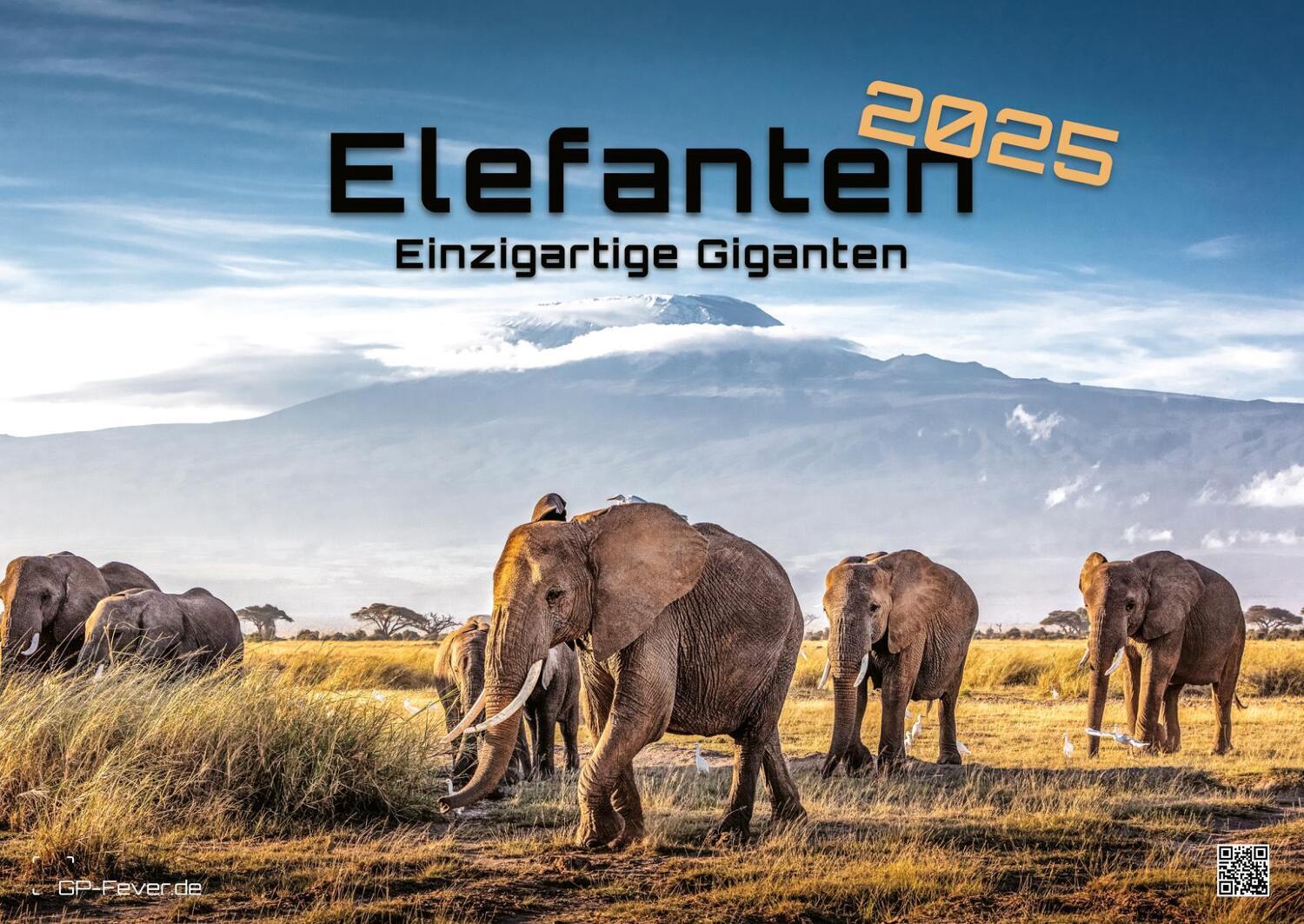 Cover: 9783986733926 | Elefanten - einzigartige Giganten - 2025 - Kalender DIN A2 | de | 2025