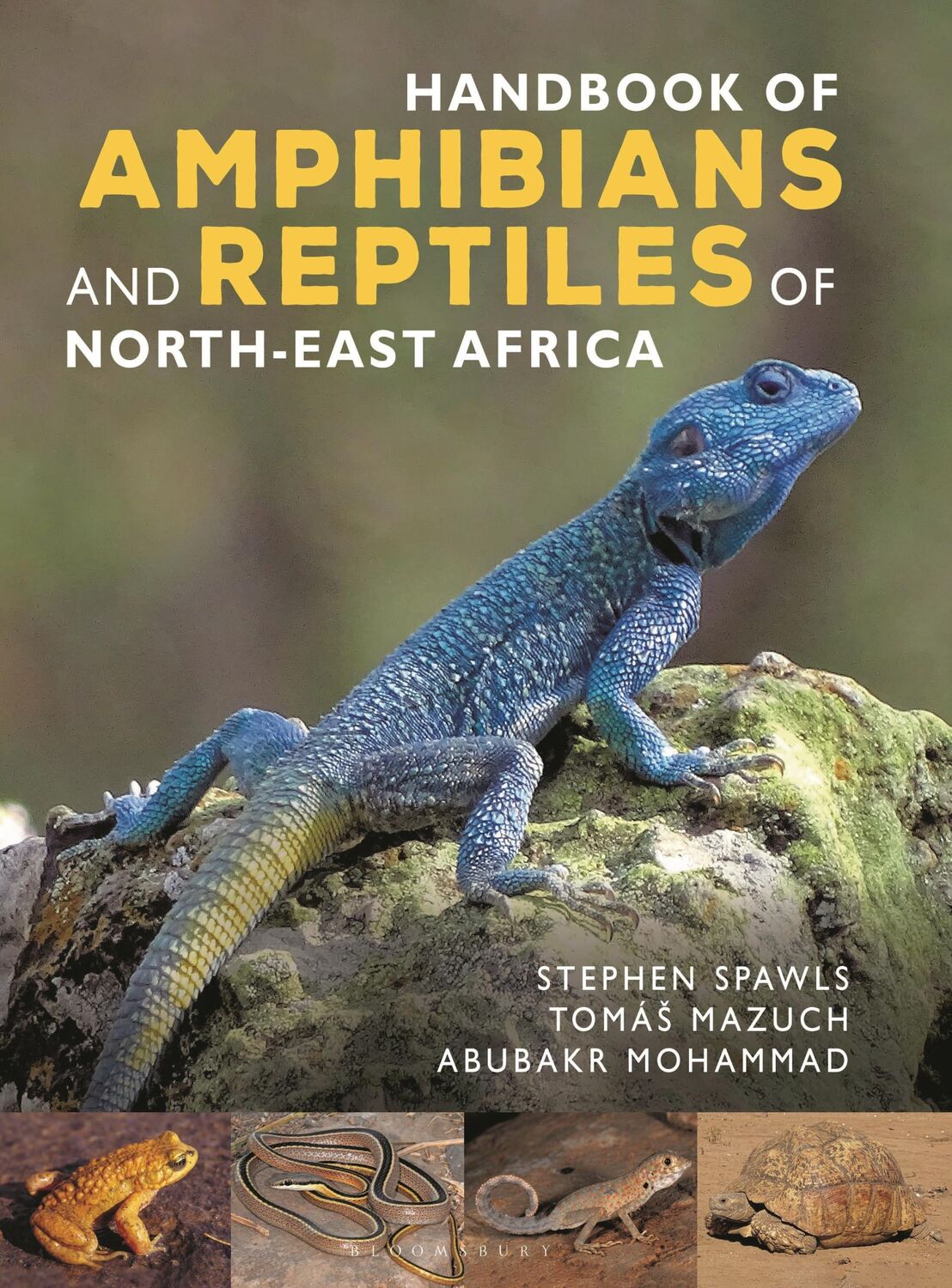 Autor: 9781472991447 | Handbook of Amphibians and Reptiles of North-east Africa | Buch | 2023