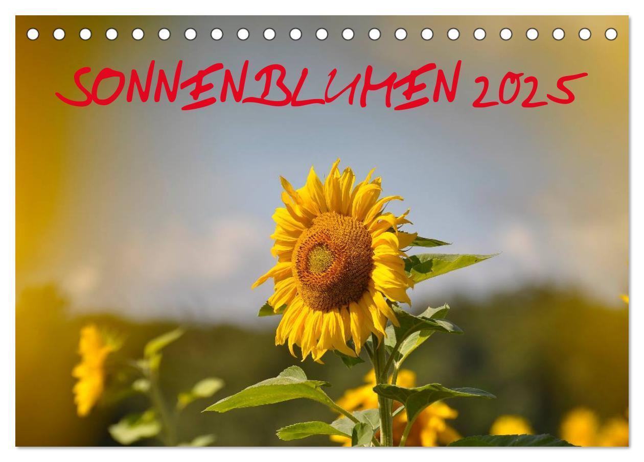 Cover: 9783435785841 | Sonnenblumen 2025 (Tischkalender 2025 DIN A5 quer), CALVENDO...