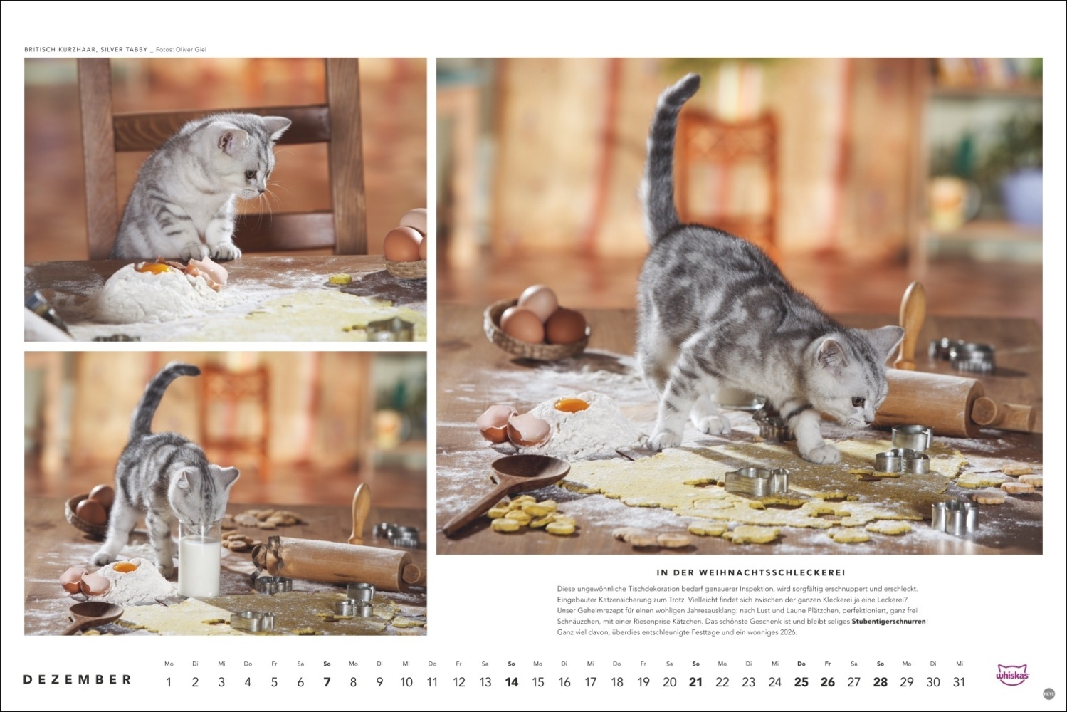 Bild: 9783756404971 | Whiskas Katzenkalender 2025 | Kalender | Spiralbindung | 14 S. | 2025