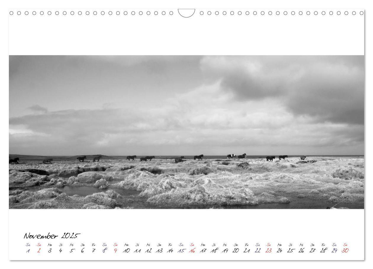 Bild: 9783435762798 | Islandpferde von Brimilsvellir (Wandkalender 2025 DIN A3 quer),...