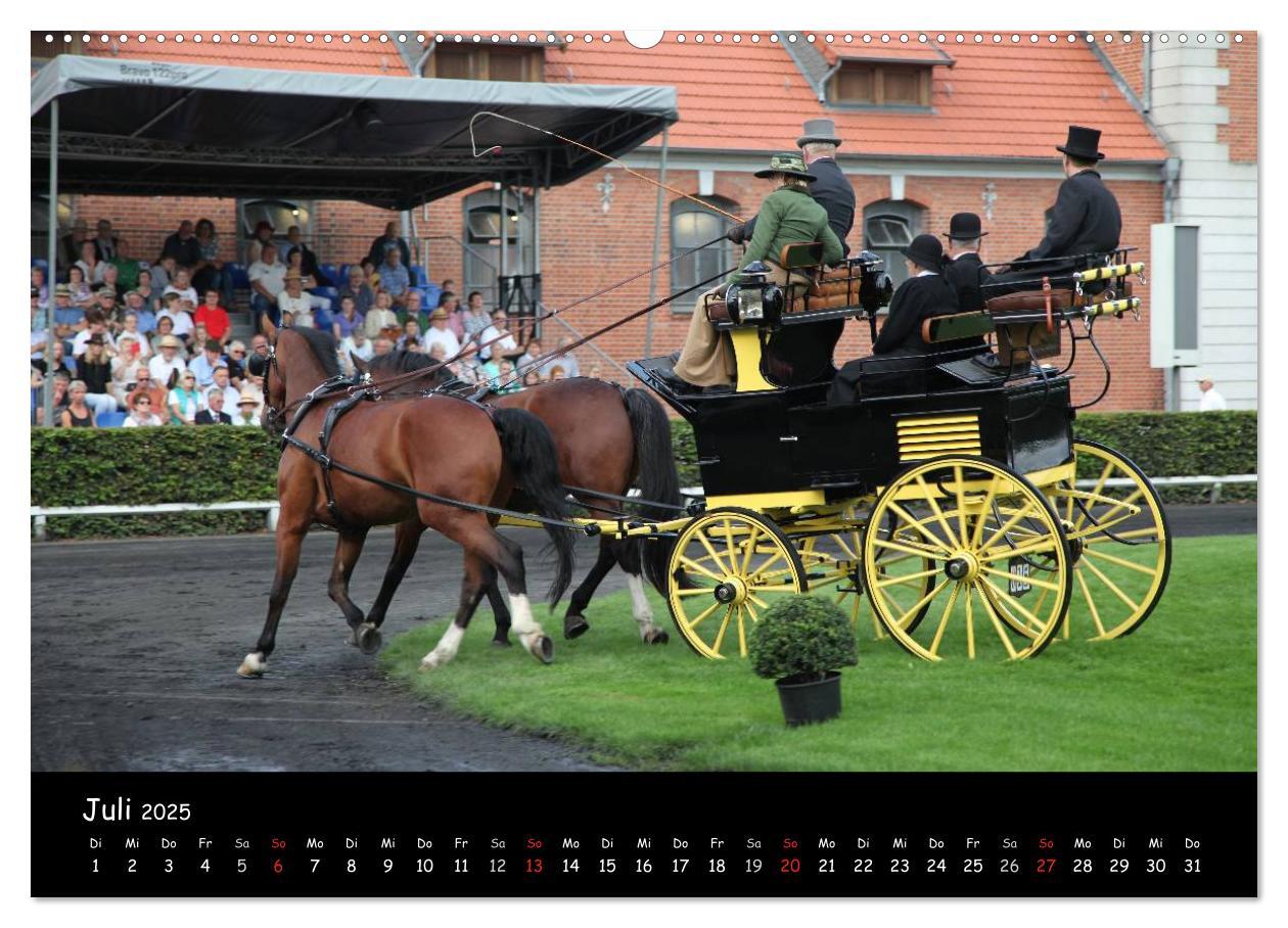 Bild: 9783435545360 | CIAT - Historischer Fahrsport in Celle (hochwertiger Premium...