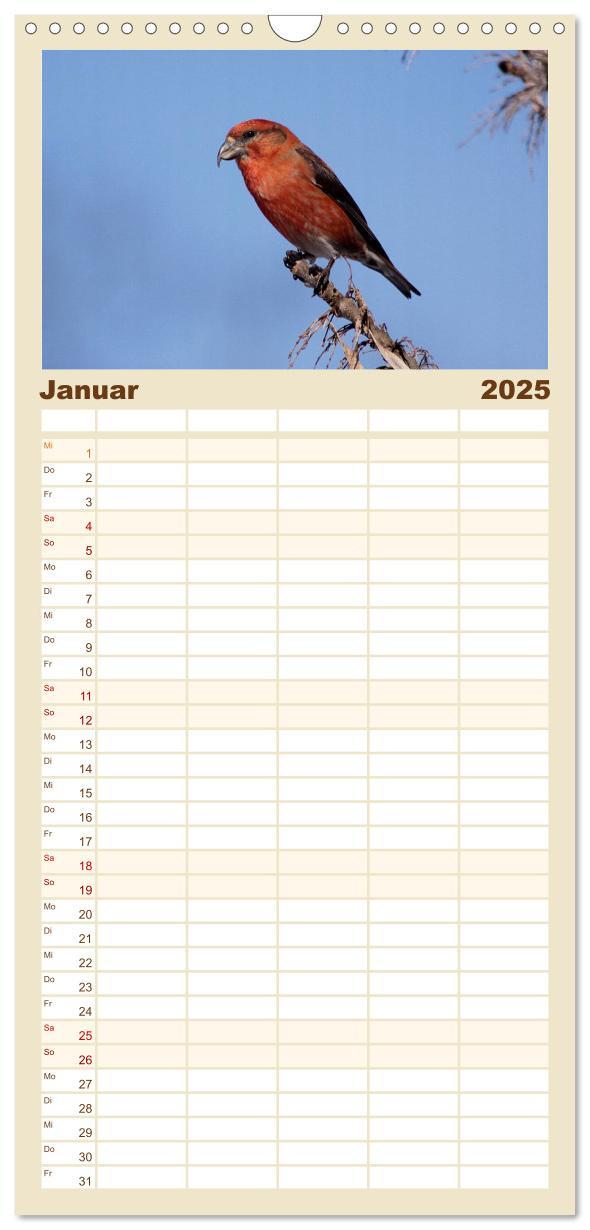 Bild: 9783457114438 | Familienplaner 2025 - Vögel ganz nah mit 5 Spalten (Wandkalender,...