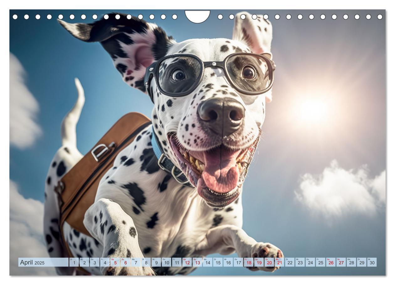 Bild: 9783383867149 | Hunde Skydiving (Wandkalender 2025 DIN A4 quer), CALVENDO...