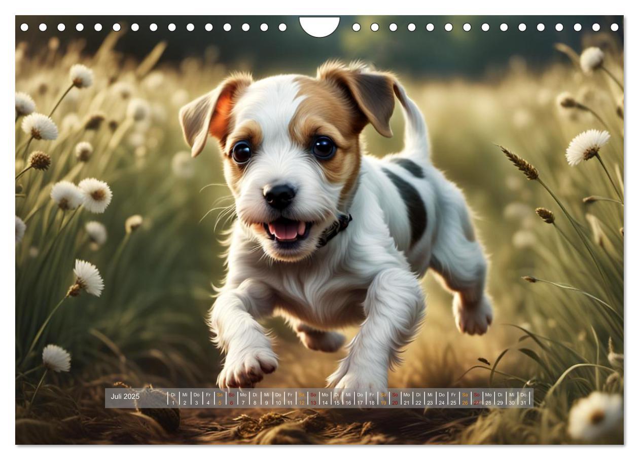 Bild: 9783383794650 | Kuschelige Hunde - kleine Herzensbrecher in Aktion (Wandkalender...