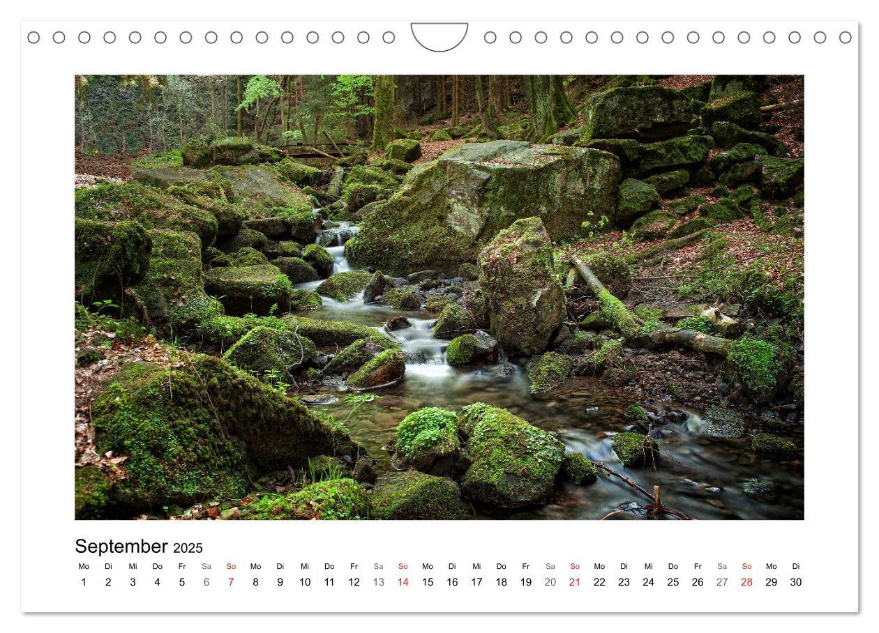 Bild: 9783435156207 | Impressionen aus Ostwestfalen-Lippe (Wandkalender 2025 DIN A4...