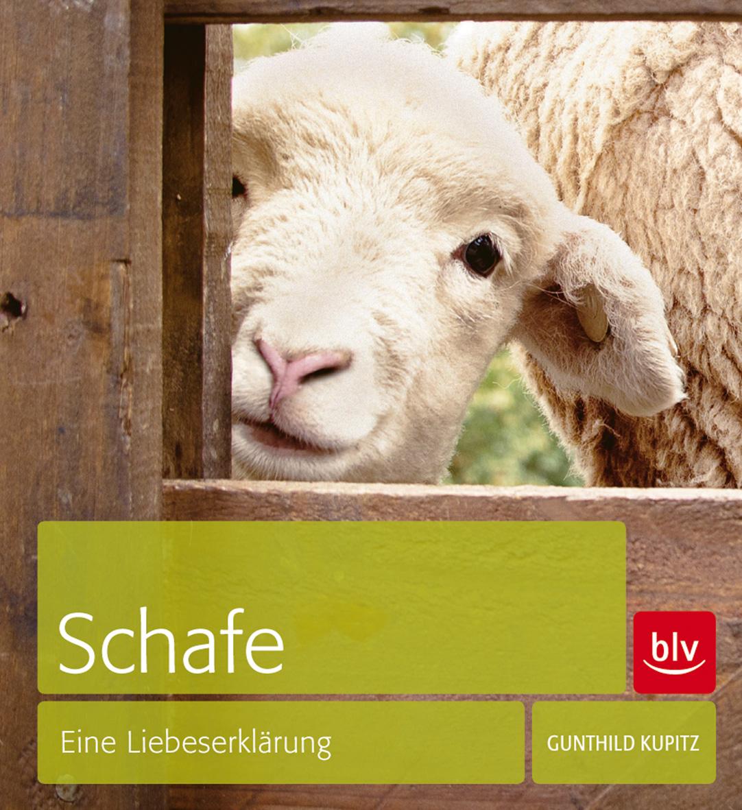 Cover: 9783835411395 | Schafe | Eine Liebeserklärung | Gunthild Kupitz | Buch | 128 S. | 2013