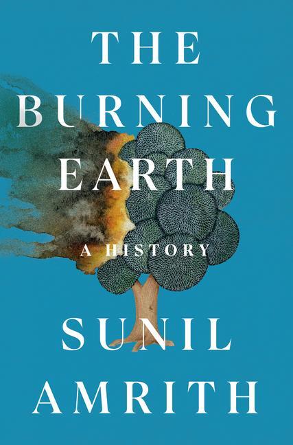 Cover: 9781324007180 | The Burning Earth | A History | Sunil Amrith | Buch | Englisch | 2024