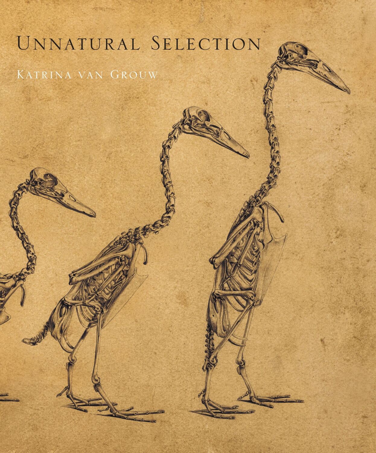 Cover: 9780691254050 | Unnatural Selection | Katrina van Grouw | Buch | Gebunden | Englisch