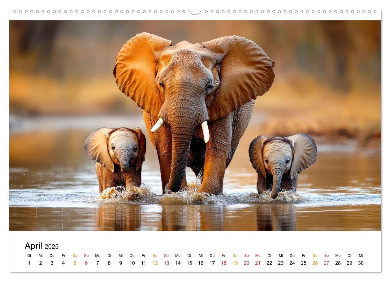 Bild: 9783457240496 | Elefanten - Riesen der Wildnis (Wandkalender 2025 DIN A2 quer),...