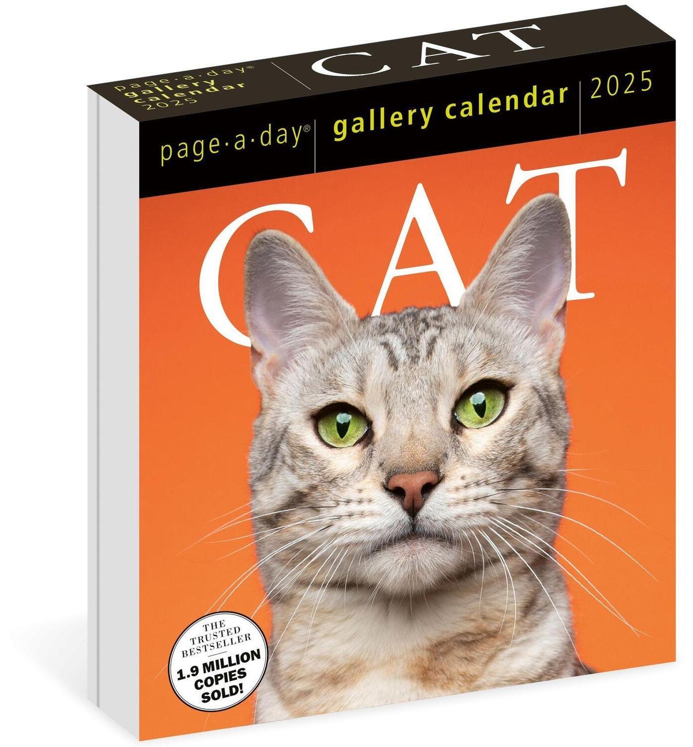 Cover: 9781523524716 | Cat Page-A-Day® Gallery Calendar 2025 | Workman Calendars | Kalender