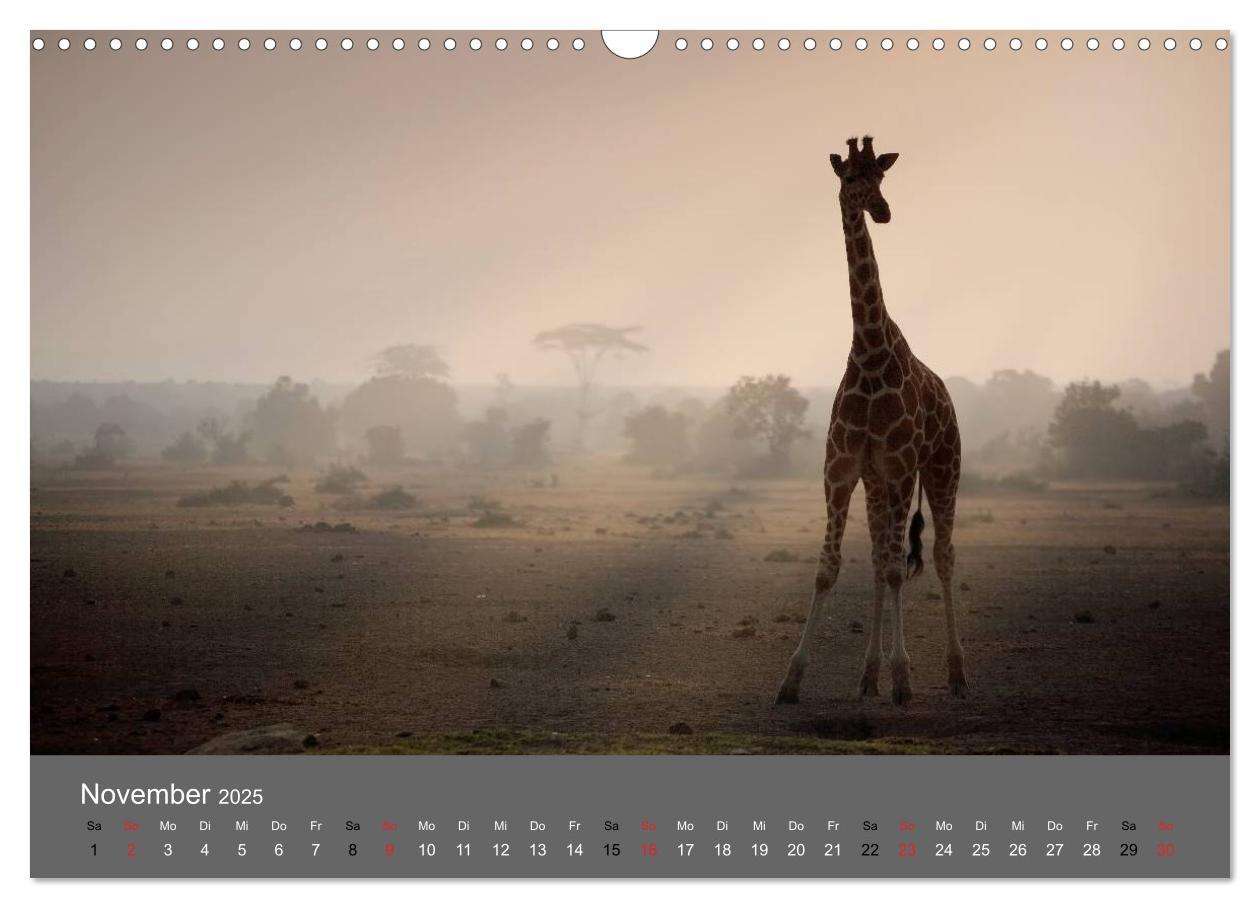 Bild: 9783435833900 | Ich träumte von Afrika (Wandkalender 2025 DIN A3 quer), CALVENDO...