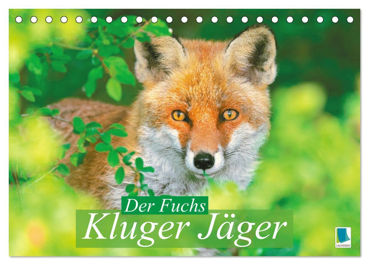 Cover: 9783383819629 | Der Fuchs: Kluger Jäger (Tischkalender 2025 DIN A5 quer), CALVENDO...