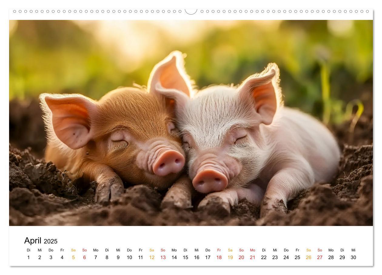 Bild: 9783457233672 | Wenn Tierchen träumen (Wandkalender 2025 DIN A2 quer), CALVENDO...