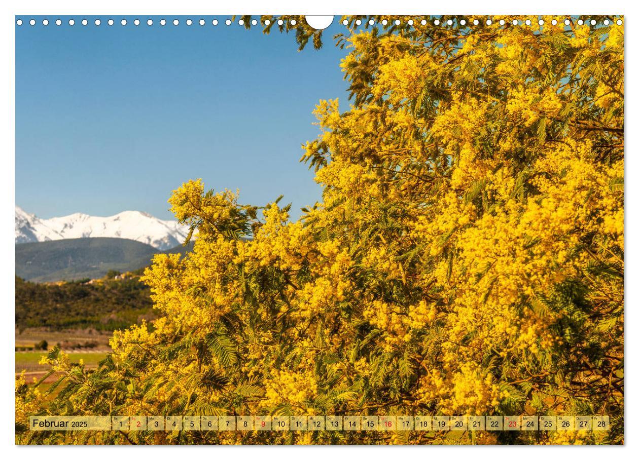 Bild: 9783435134113 | Pyrénées-Orientales. Naturschön: Frankreichs Perle im Süden...