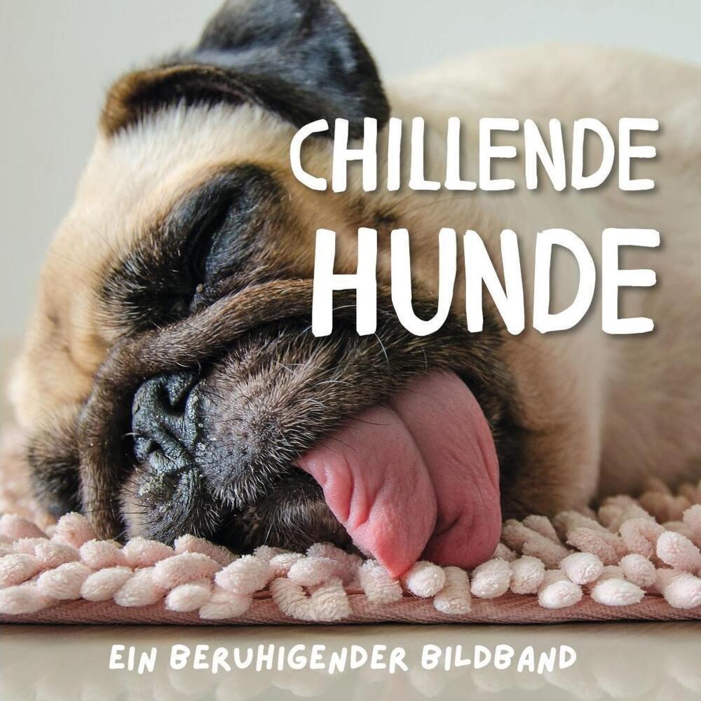 Cover: 9783750503793 | Chillende Hunde | Ein beruhigender Bildband | Stefan Gruber | Buch