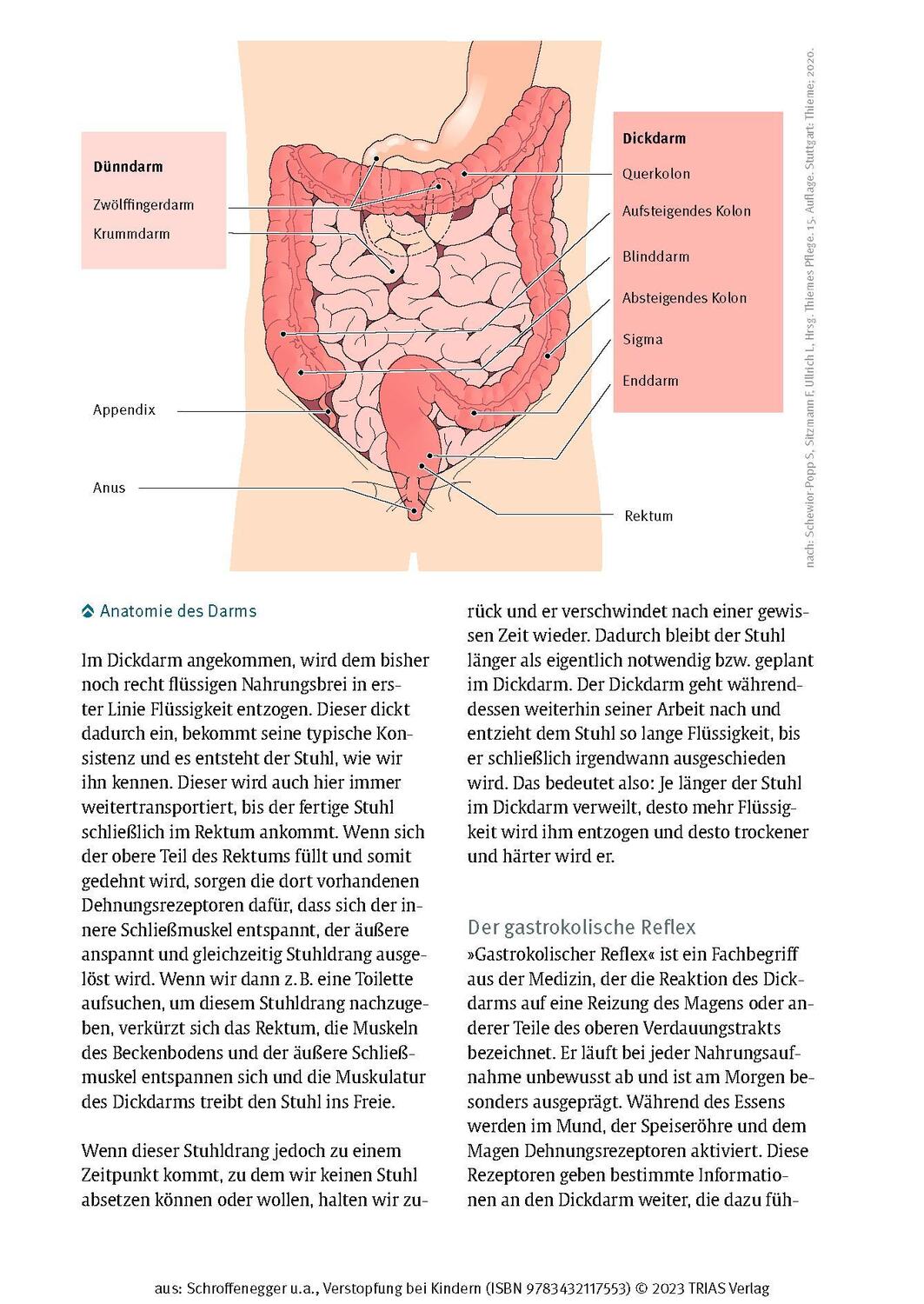 Bild: 9783432117553 | Verstopfung bei Kindern | Yvonne Schroffenegger (u. a.) | Taschenbuch