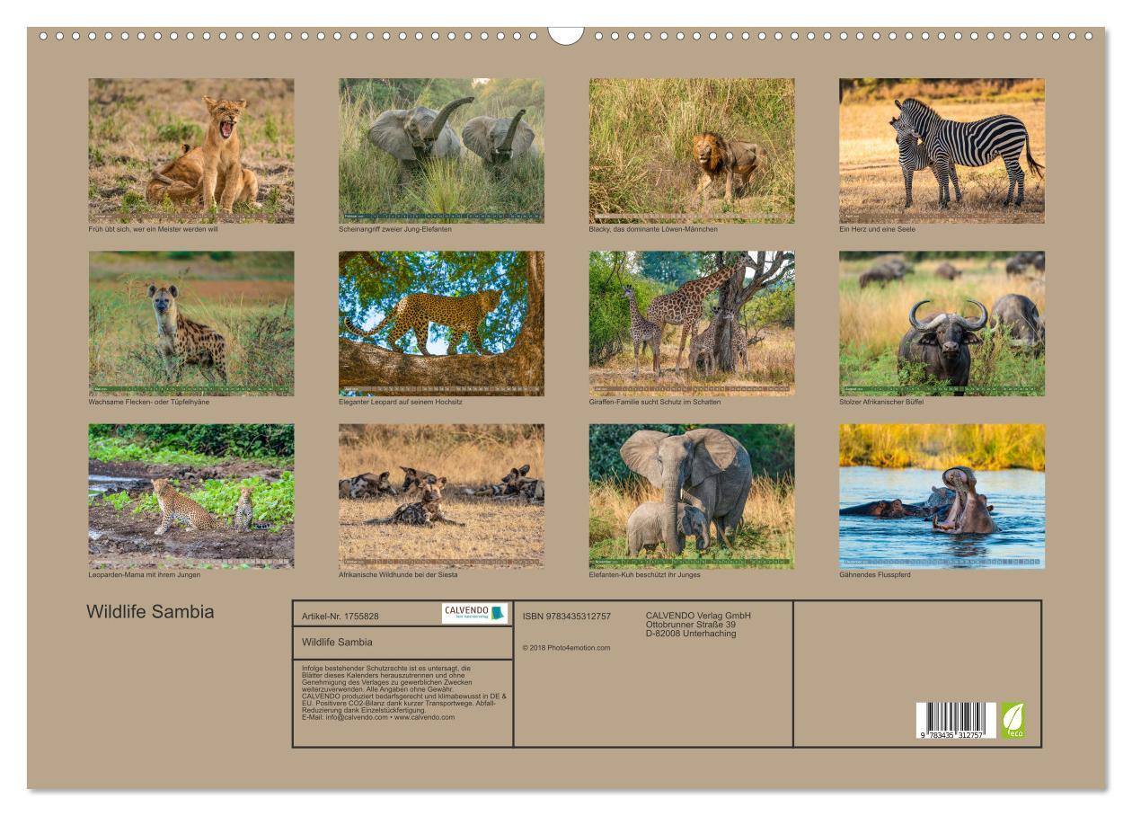 Bild: 9783435312757 | Wildlife Sambia (Wandkalender 2025 DIN A2 quer), CALVENDO...