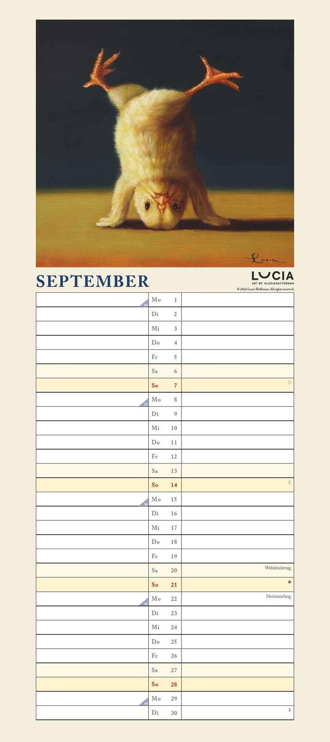 Bild: 4250809653921 | Lucia Heffernan: Yoga Chicks Planer 2025 - Wandkalender -...