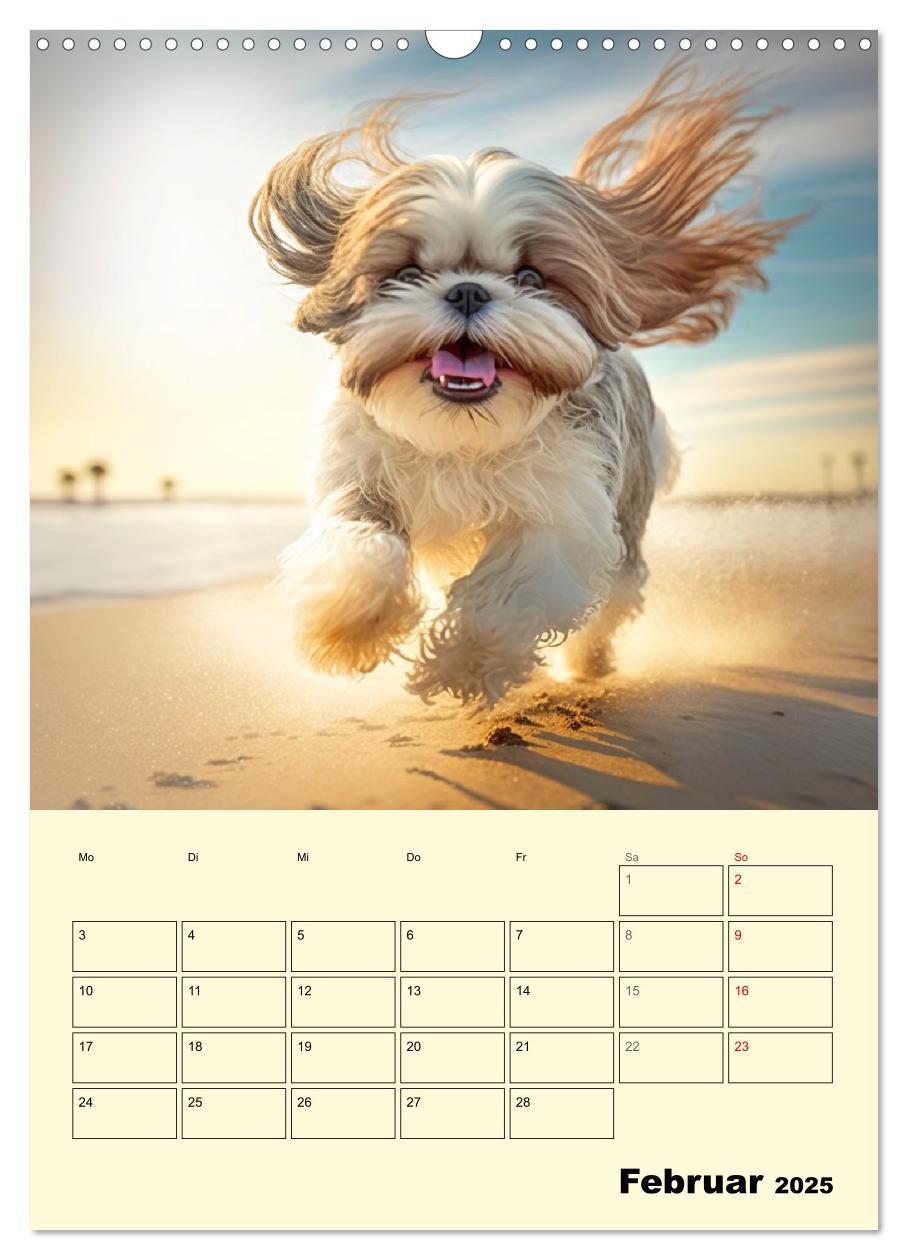 Bild: 9783435873623 | Shih Tzu Alarm. Glückliche Wuschelköpfe (Wandkalender 2025 DIN A3...