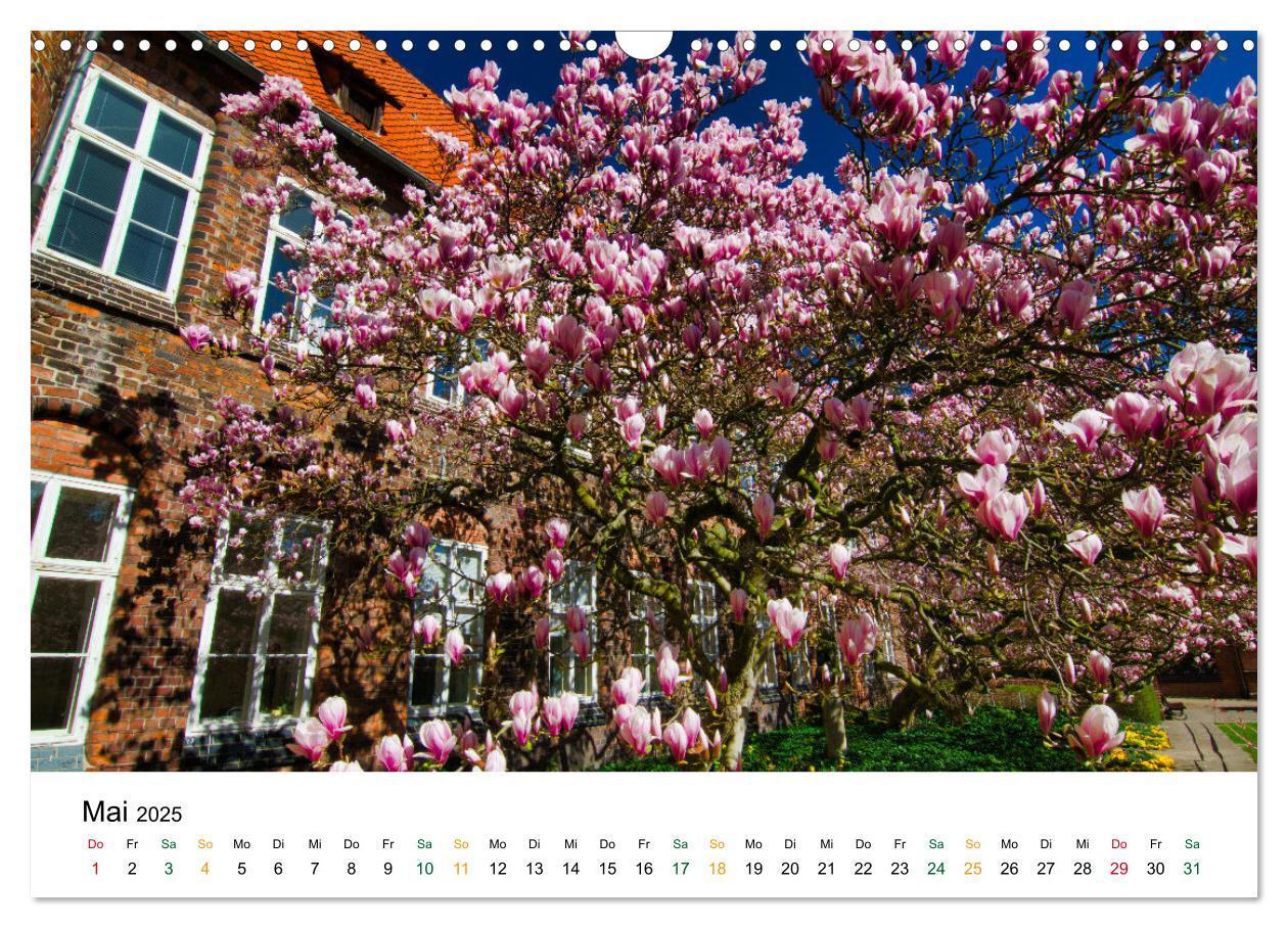 Bild: 9783435052615 | Lüneburg (Wandkalender 2025 DIN A3 quer), CALVENDO Monatskalender