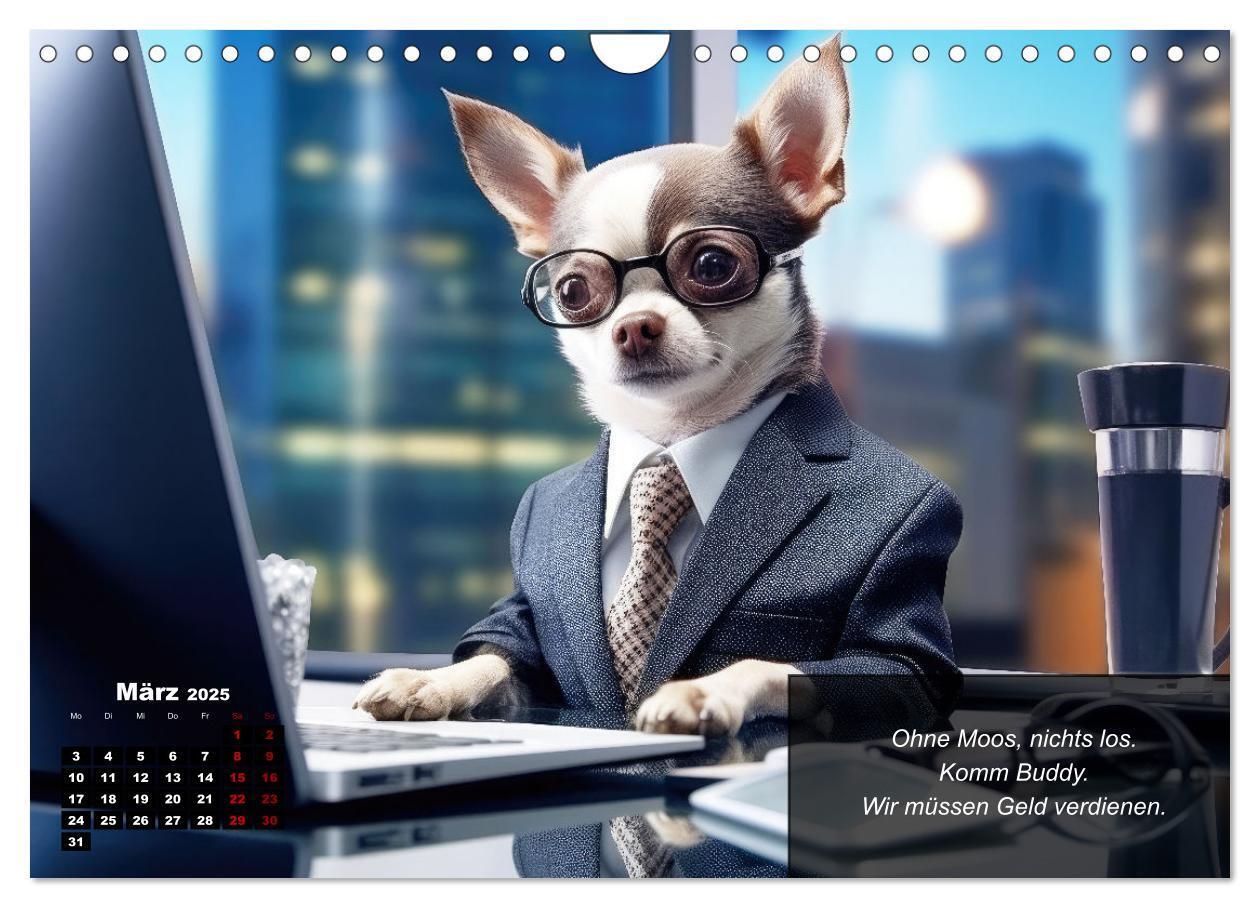 Bild: 9783457129388 | Lustige Chihuahua-Momente (Wandkalender 2025 DIN A4 quer), CALVENDO...