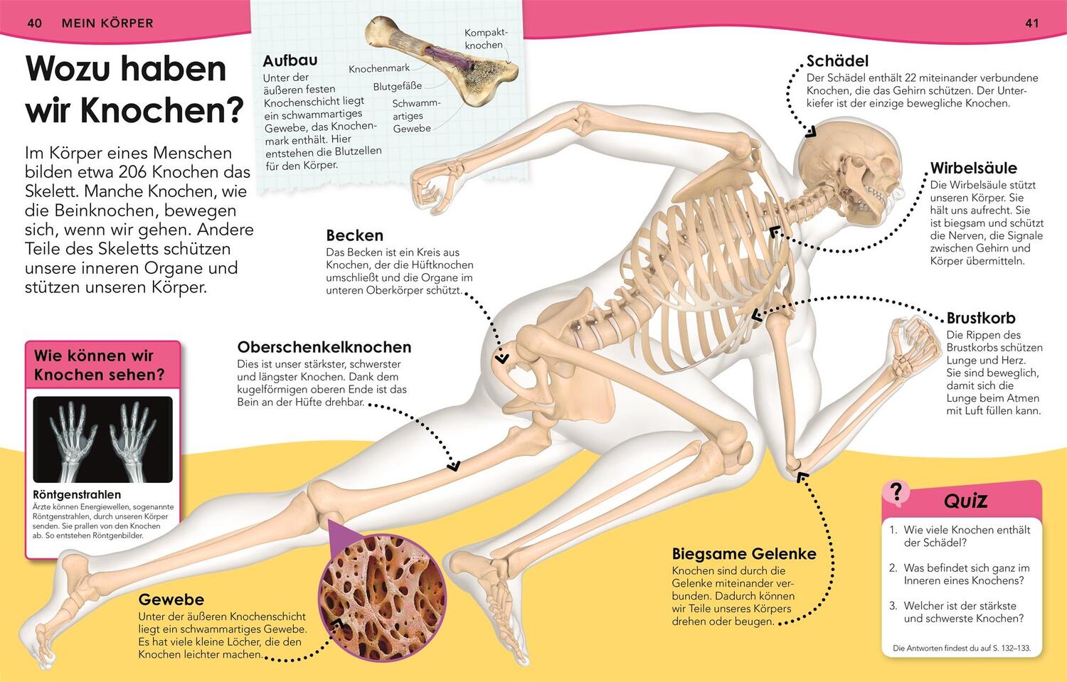 Bild: 9783831036899 | Weshalb? Deshalb! Natur und Technik | Das Frage-und-Antwort-Lexikon