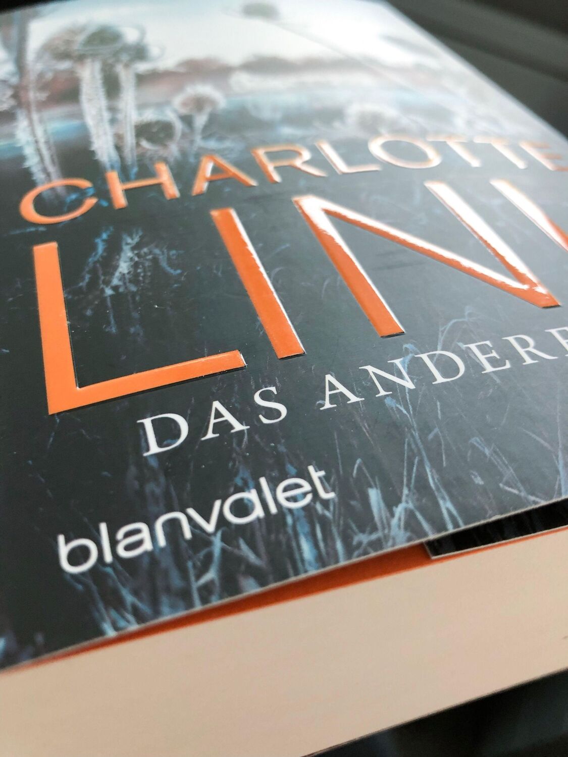 Bild: 9783734107931 | Das andere Kind | Charlotte Link | Taschenbuch | 672 S. | Deutsch