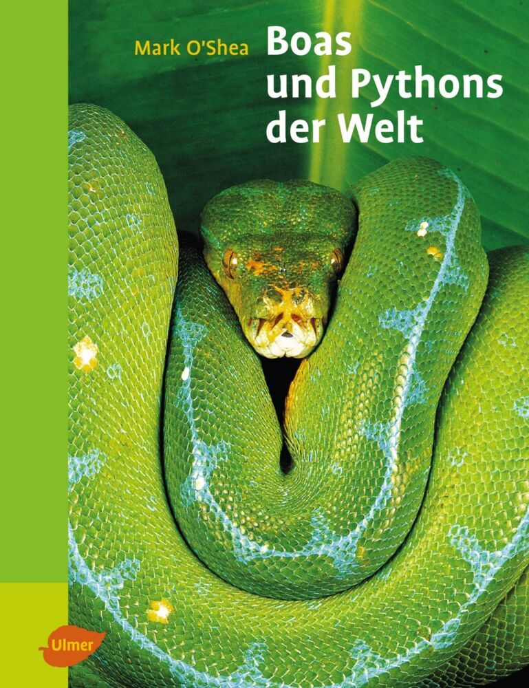 Cover: 9783800156337 | Boas und Pythons der Welt | Mark O'Shea | Buch | 160 S. | Deutsch