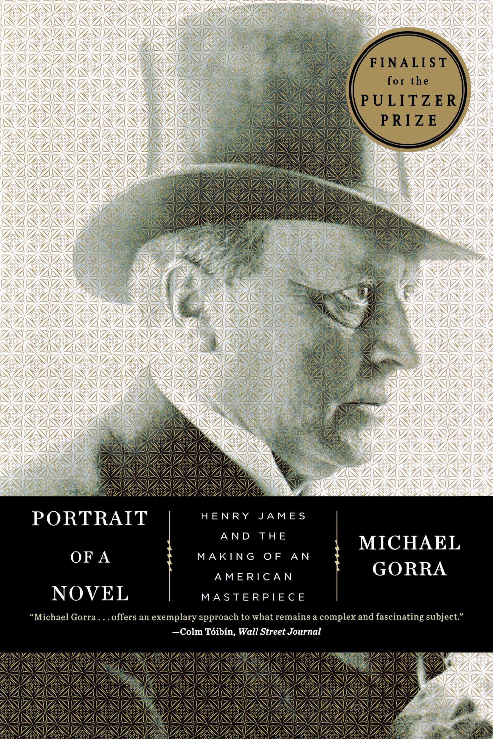 Cover: 9780871406705 | Portrait of a Novel | Michael Gorra | Taschenbuch | Englisch | 2013