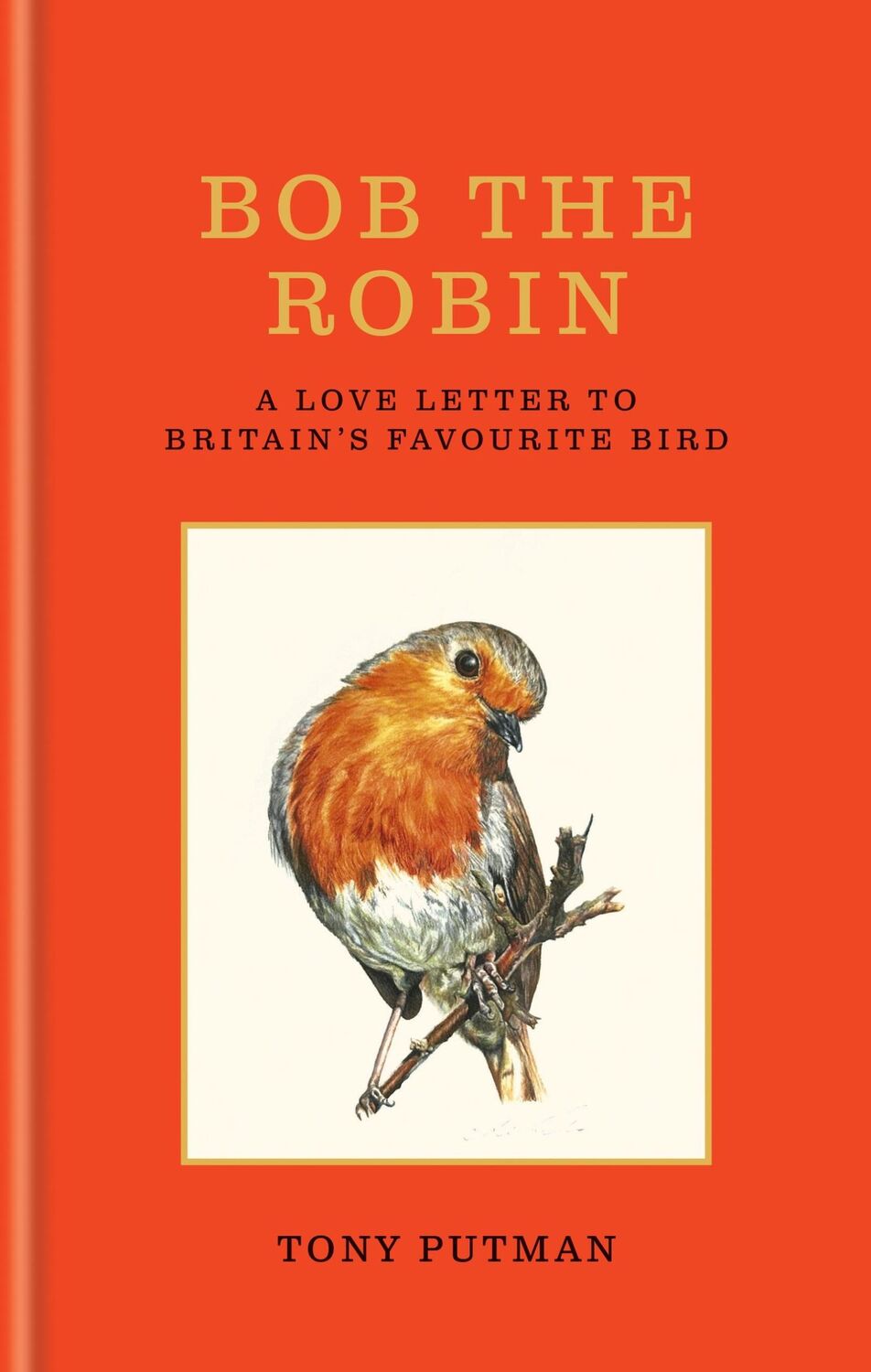 Cover: 9781856755313 | Bob the Robin | A love letter to Britain's favourite bird | Putman