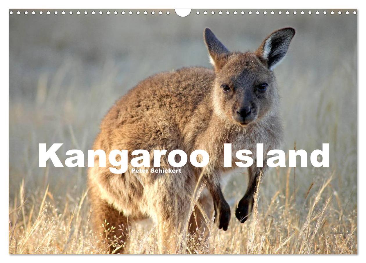 Cover: 9783435736942 | Kangaroo Island (Wandkalender 2025 DIN A3 quer), CALVENDO...